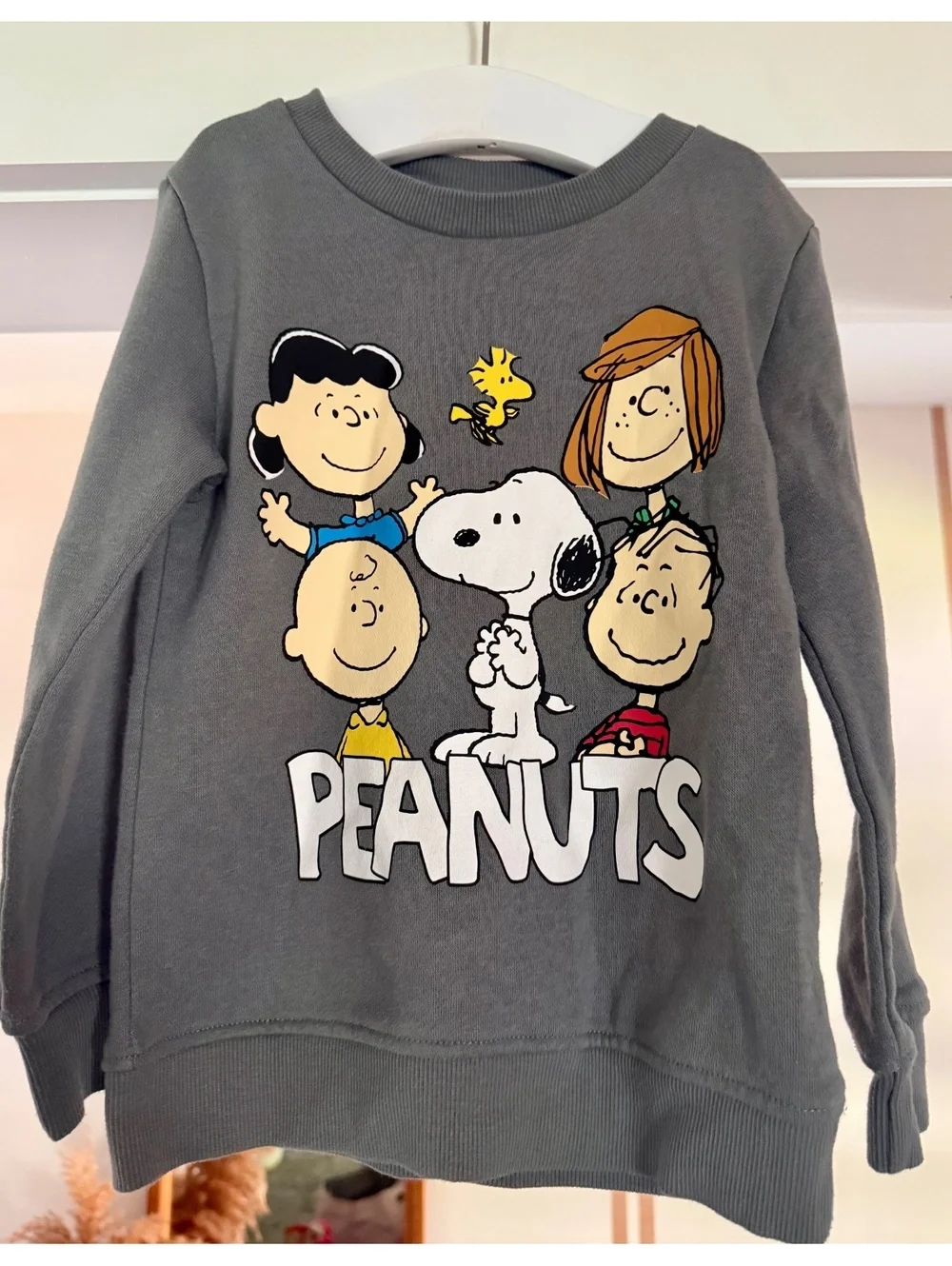Peanuts Gray Sweat Outfit Sz 4T Great Condition